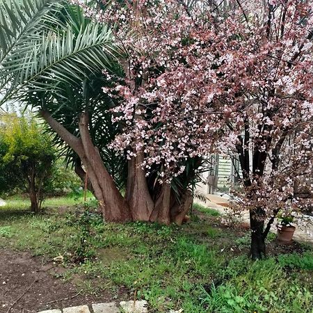 Giardino A Mare Lägenhet Bari Exteriör bild
