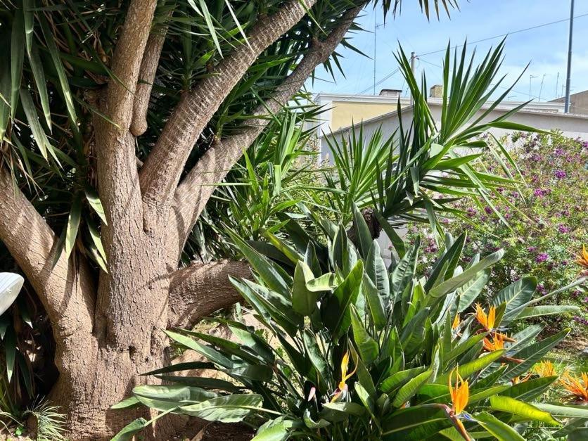 Giardino A Mare Lägenhet Bari Exteriör bild