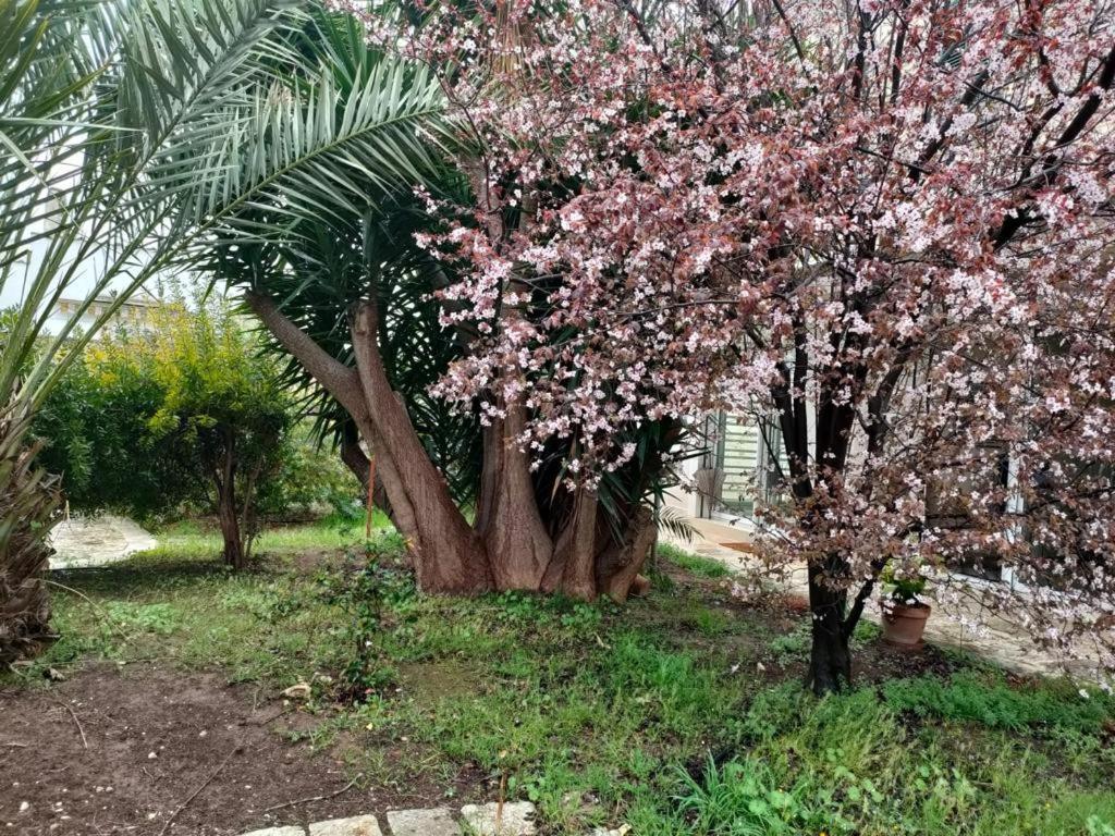 Giardino A Mare Lägenhet Bari Exteriör bild